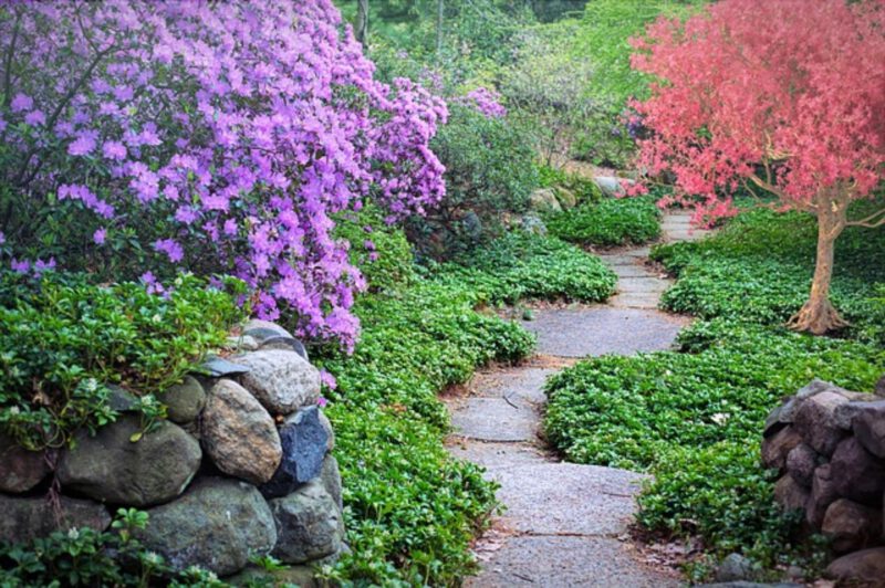 Planowanie ogrodu – ścieżki ogrodowe